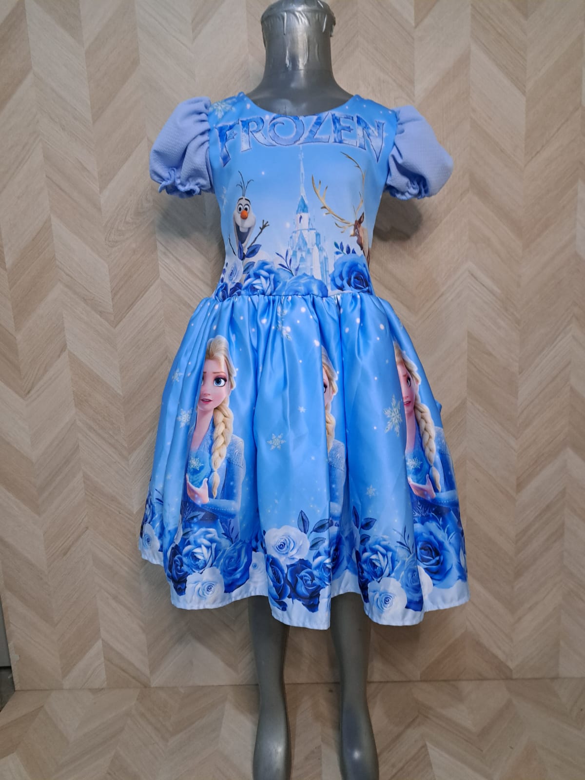 Cenicienta Vestido Con Manga Frozen