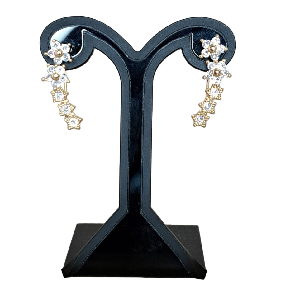 Mujer Moza Aretes Varios