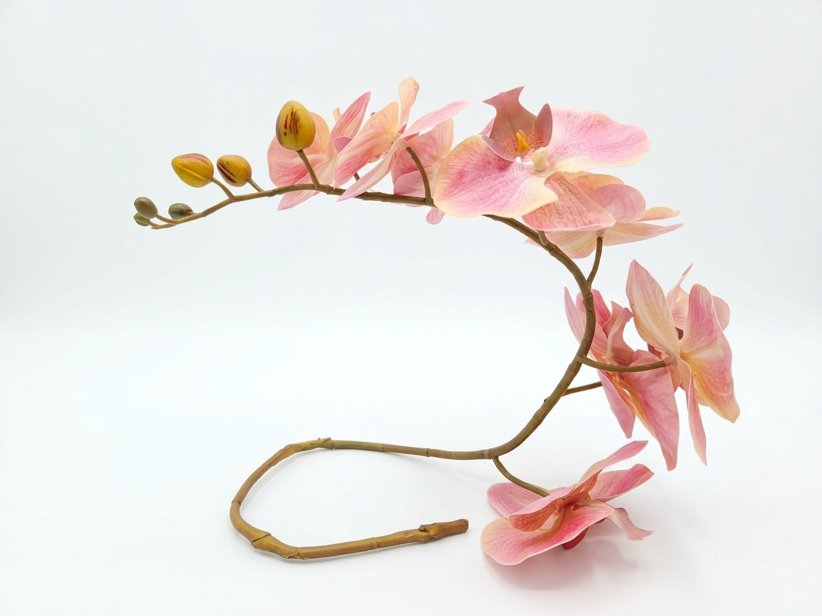 Archivo Nomada Orquidea Tigre Rosa