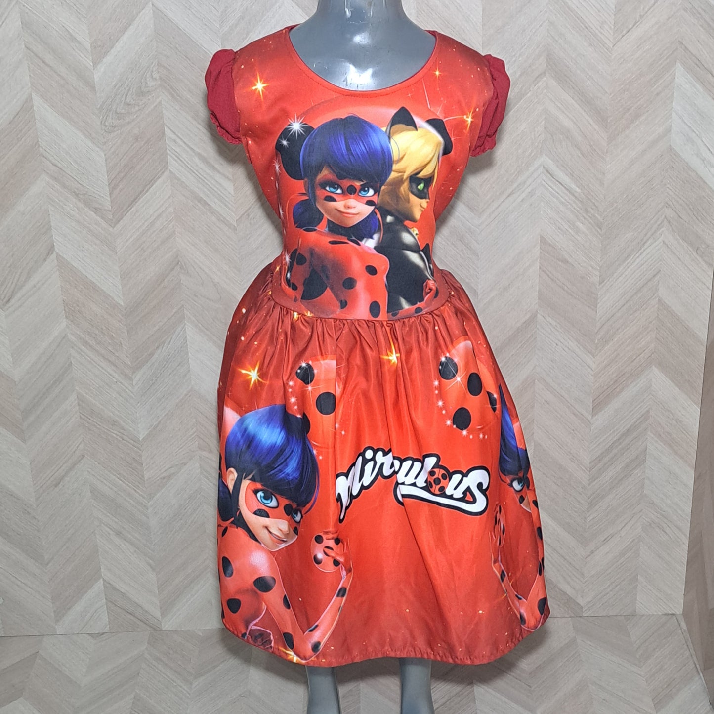 Cenicienta Vestido Lady Bug Cat