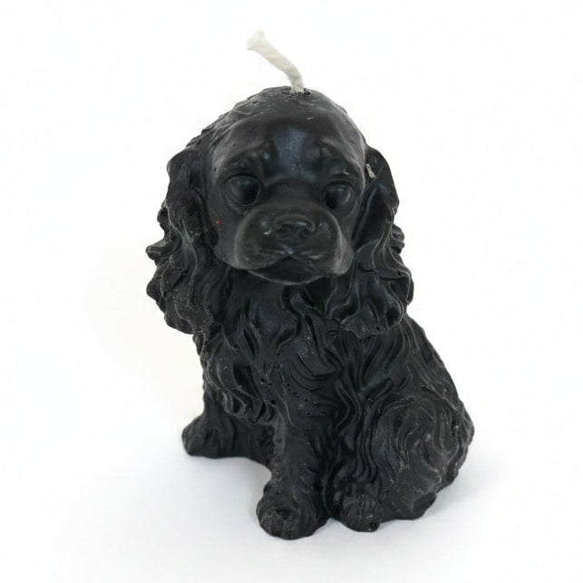 FlorDeLaSabiduria Vela Perro Negro