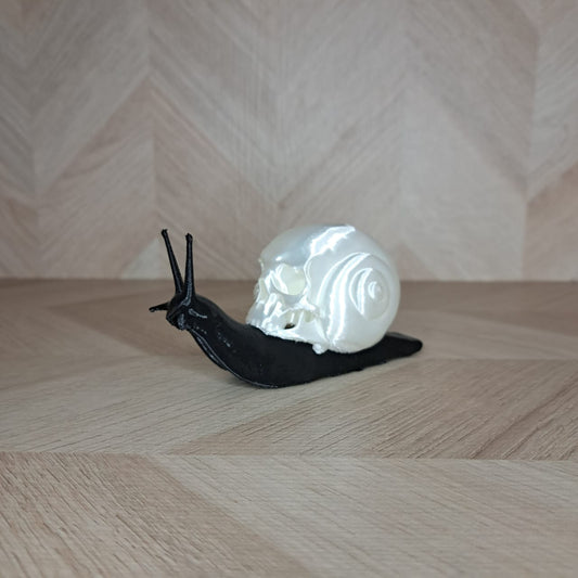 Mrs.FoxStudio Caracol Calavera