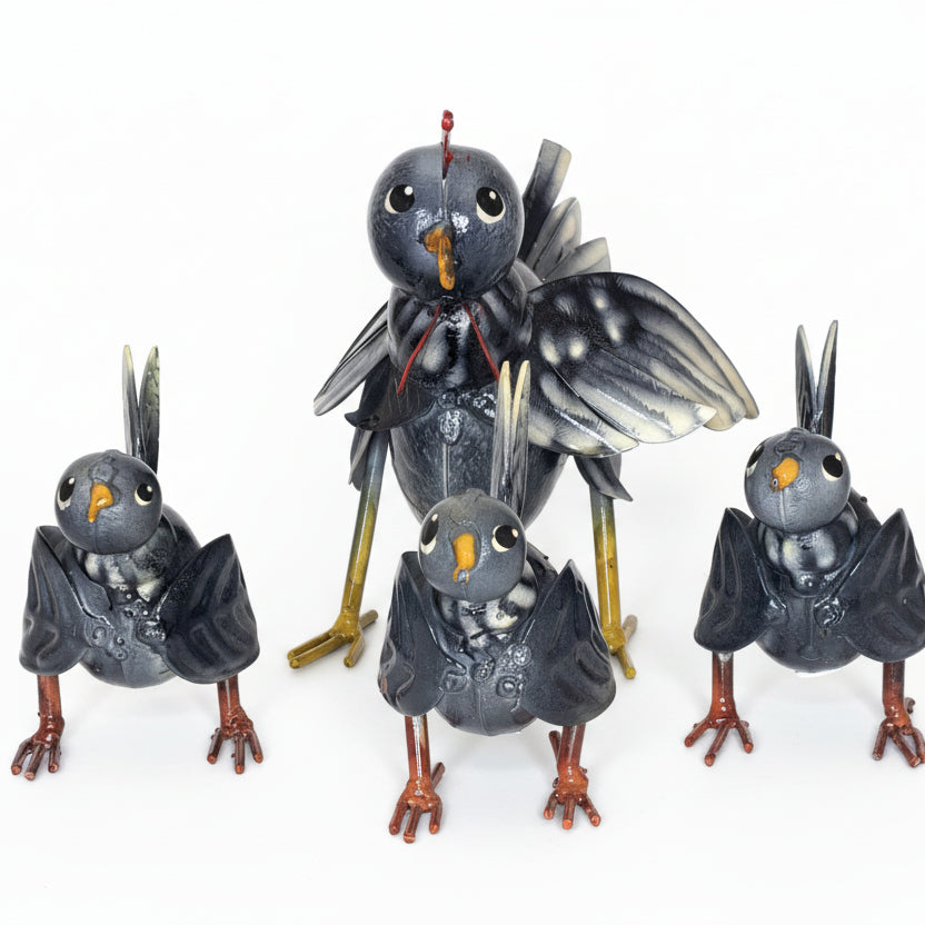 Cassiopea Gallery Gallina Pollitos