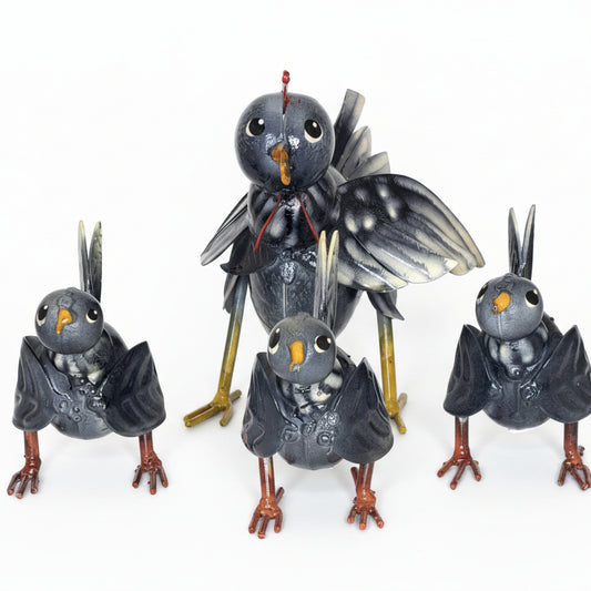 Cassiopea Gallery Gallina Pollitos