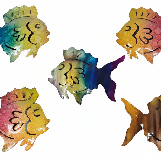 Cassiopea Gallery Peces Multicolor