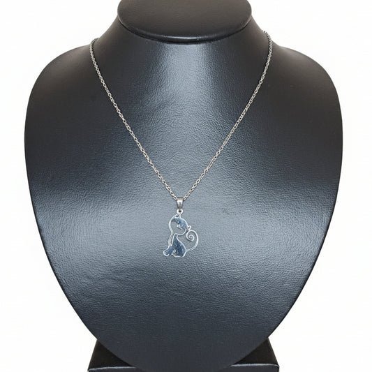 SAMI Collar Acero Inoxidable