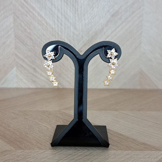 Mujer Moza Aretes Varios
