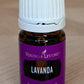 Young Living Difusor